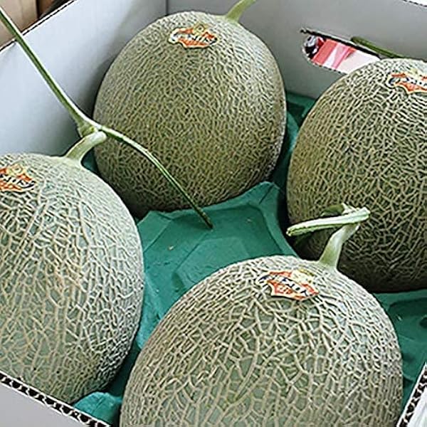 Amazon.co.jp: 夕張メロン 夕張農協共撰 夕張メロン 2玉 北海道